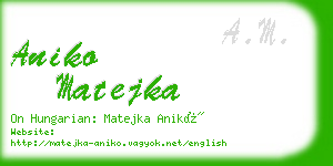 aniko matejka business card